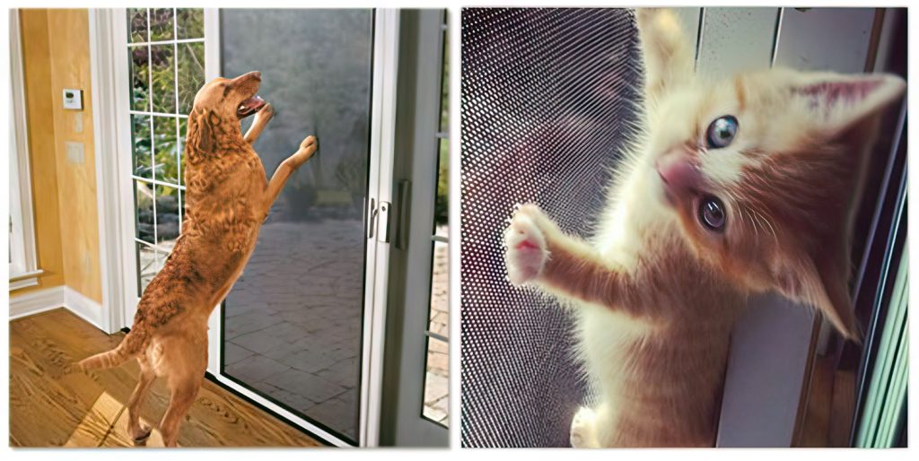 San Diego Screen Door Rescreening Breeze Screens Motorized