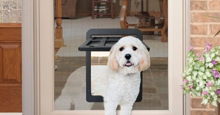 Pet-Proof Screens