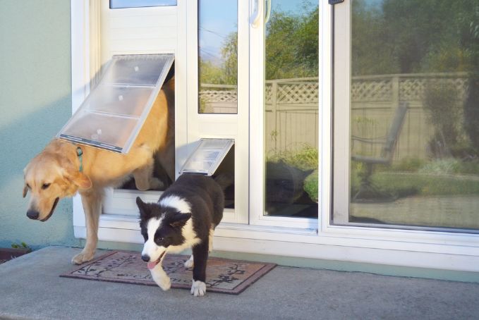 Pet-proof screens